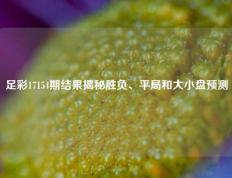 足彩17154期结果揭秘胜负、平局和大小盘预测