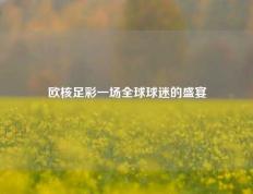 欧核足彩一场全球球迷的盛宴