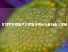 足彩竞猜预测足彩竞猜预测的兴起与未来展望