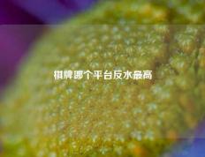 棋牌哪个平台反水最高