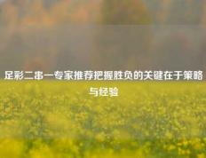 足彩二串一专家推荐把握胜负的关键在于策略与经验