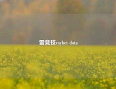 雷竞技raybet dota
