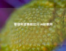 塞维利亚赛程比分500彩票网