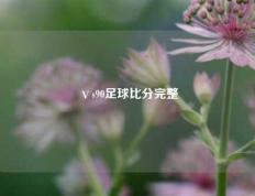ⅴs90足球比分完整