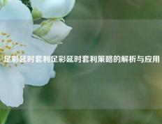 足彩延时套利足彩延时套利策略的解析与应用