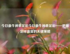 今日最牛神单足彩今日最牛神单足彩——把握足球盛宴的关键策略