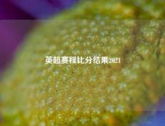 英超赛程比分结果2021