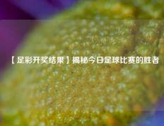 【足彩开奖结果】揭秘今日足球比赛的胜者
