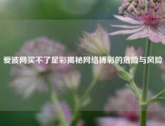 爱波网买不了足彩揭秘网络博彩的危险与风险