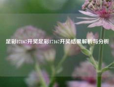 足彩17167开奖足彩17167开奖结果解析与分析