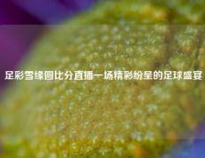 足彩雪缘圆比分直播一场精彩纷呈的足球盛宴