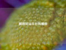 棋牌试玩平台有哪些