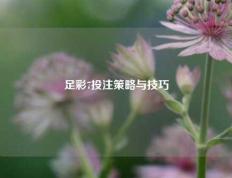 足彩7投注策略与技巧