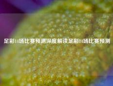 足彩14场比赛预测深度解读足彩14场比赛预测