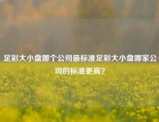 足彩大小盘哪个公司最标准足彩大小盘哪家公司的标准更高？