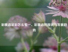 彩票店足彩怎么看一、彩票店的现状与发展趋势