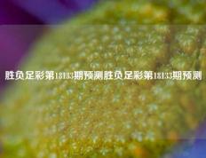 胜负足彩第18133期预测胜负足彩第18133期预测