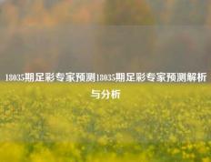 18035期足彩专家预测18035期足彩专家预测解析与分析