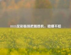 18135足彩临场把握胜机，稳赚不赔