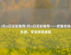2月26日足彩推荐2月26日足彩推荐——把握市场机遇，享受体育盛宴