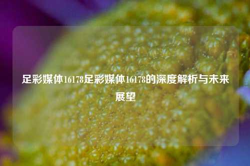 足彩媒体16178足彩媒体16178的深度解析与未来展望