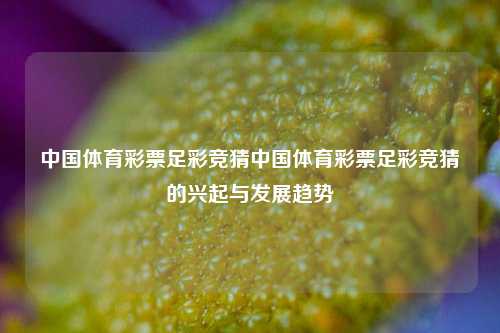 中国体育彩票足彩竞猜中国体育彩票足彩竞猜的兴起与发展趋势