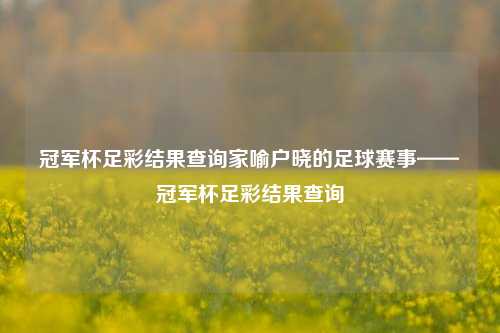 冠军杯足彩结果查询家喻户晓的足球赛事——冠军杯足彩结果查询