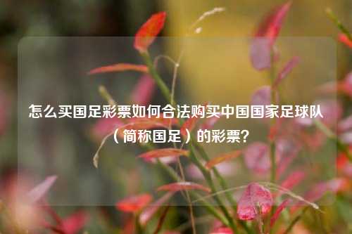 怎么买国足彩票如何合法购买中国国家足球队（简称国足）的彩票？
