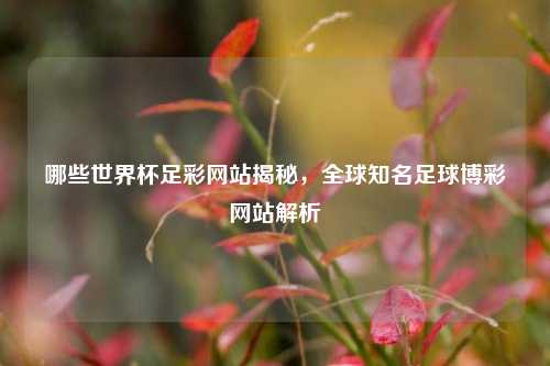 哪些世界杯足彩网站揭秘，全球知名足球博彩网站解析