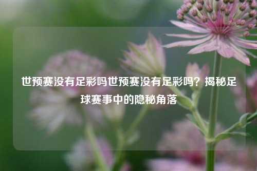 世预赛没有足彩吗世预赛没有足彩吗？揭秘足球赛事中的隐秘角落