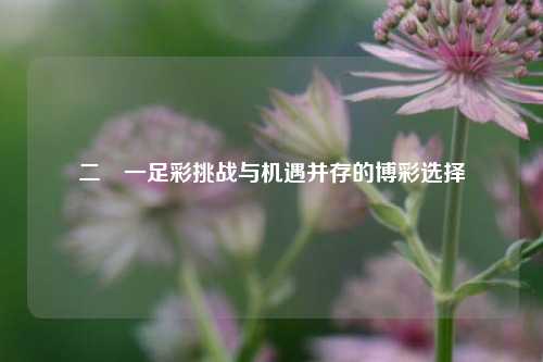 二選一足彩挑战与机遇并存的博彩选择