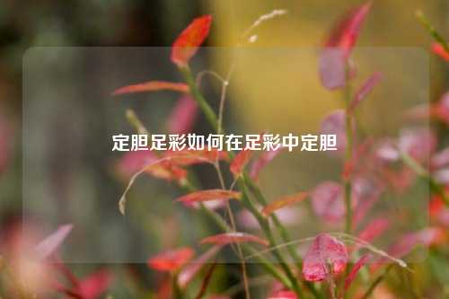 定胆足彩如何在足彩中定胆