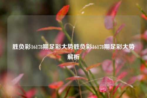 胜负彩16178期足彩大势胜负彩16178期足彩大势解析