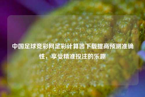 中国足球竞彩网足彩计算器下载提高预测准确性，享受精准投注的乐趣