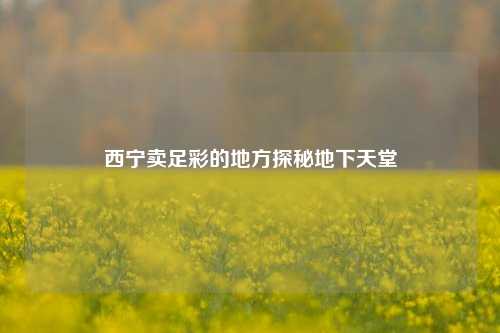 西宁卖足彩的地方探秘地下天堂