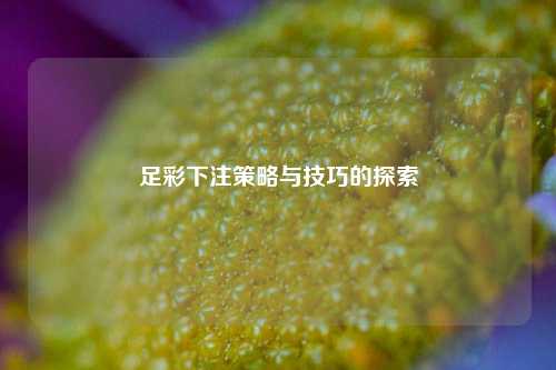 足彩下注策略与技巧的探索