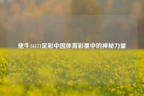 佬牛16171足彩中国体育彩票中的神秘力量