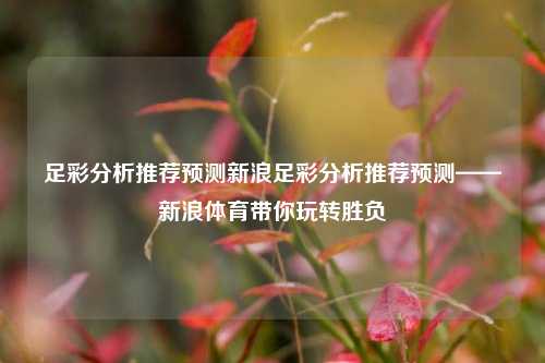 足彩分析推荐预测新浪足彩分析推荐预测——新浪体育带你玩转胜负