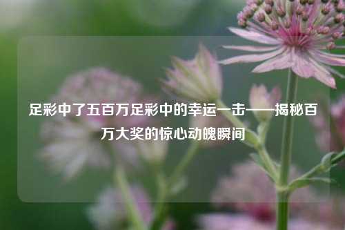足彩中了五百万足彩中的幸运一击——揭秘百万大奖的惊心动魄瞬间