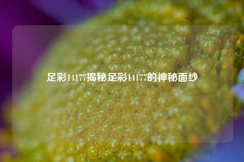 足彩14177揭秘足彩14177的神秘面纱