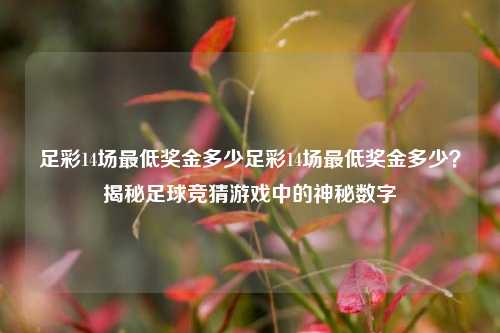 足彩14场最低奖金多少足彩14场最低奖金多少？揭秘足球竞猜游戏中的神秘数字