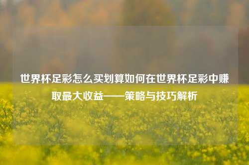 世界杯足彩怎么买划算如何在世界杯足彩中赚取最大收益——策略与技巧解析