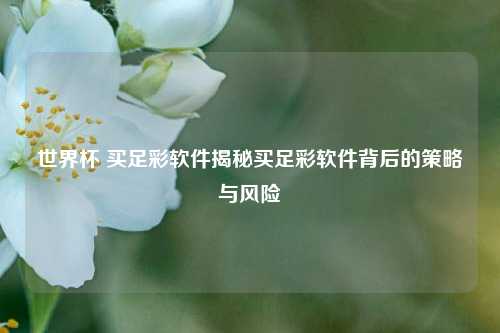 世界杯 买足彩软件揭秘买足彩软件背后的策略与风险