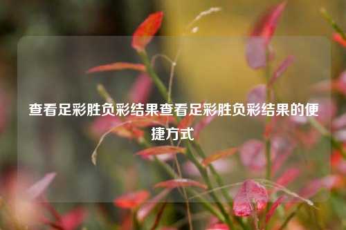 查看足彩胜负彩结果查看足彩胜负彩结果的便捷方式