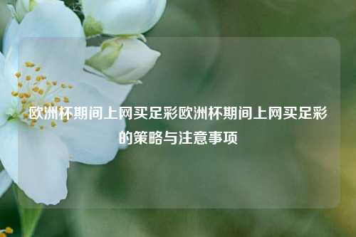 欧洲杯期间上网买足彩欧洲杯期间上网买足彩的策略与注意事项