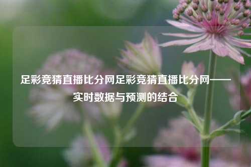 足彩竞猜直播比分网足彩竞猜直播比分网——实时数据与预测的结合