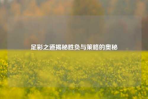 足彩之道揭秘胜负与策略的奥秘
