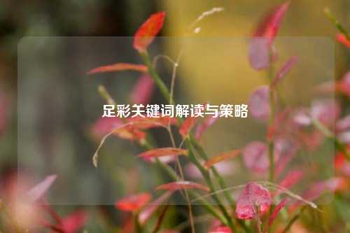 足彩关键词解读与策略