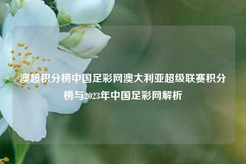 澳超积分榜中国足彩网澳大利亚超级联赛积分榜与2023年中国足彩网解析