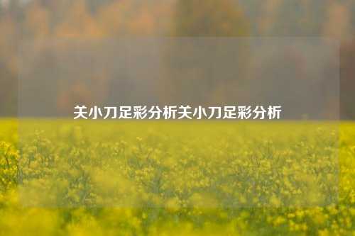 关小刀足彩分析关小刀足彩分析